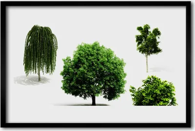 Produktbild von Bild 60x40 MDF-Rahmen Wandkunst Bäume Natur Natur