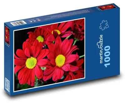 Zdjęcie produktu dla Puzzle 1000 Chryzantema - czerwone kwiaty - martinpuzzle