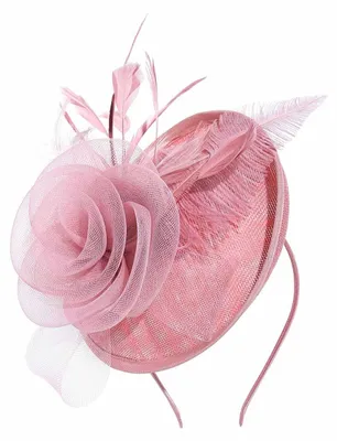 Immagine prodotto di Cerchietto per capelli con decorazioni a forma di piume - Accessori per capelli - Matrimonio - Festa - Donna - Rosa - Cerchietto