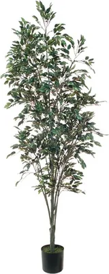 Produktbild von artplants.de Künstliche Pflanze Ficus Benjamini BRATKO, Kunststamm, grün-weiß, 220cm - Kunstficus