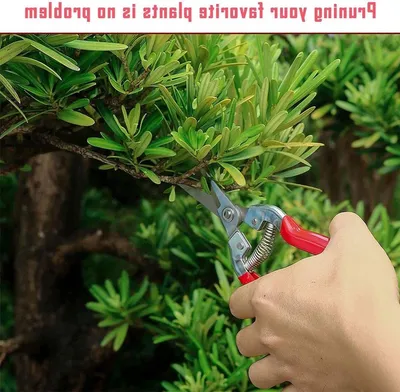 Handschnellschneider mit Micro-Tip zum Schneiden von Bonsai, Obst und Gemüse - Ideal für Gartenarbeit und Ernte von Pflanzen