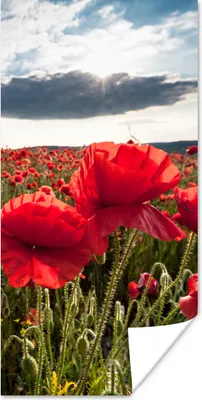 Produktbild von MuchoWow® Poster Mohnblumen vor einem dramatischen, stürmischen Himmel 60x120 cm - Wandschmuck