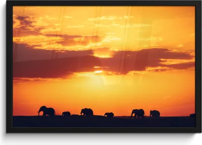 Produktbild von MuchoWow® MuchoWow® Gerahmtes Poster Elefanten - Horizont - Sonnenuntergang - Tiere 60x40 cm - Poster mit zchwarzem Bilderrahmen - Printing - Wanddeko Schlafzimmer