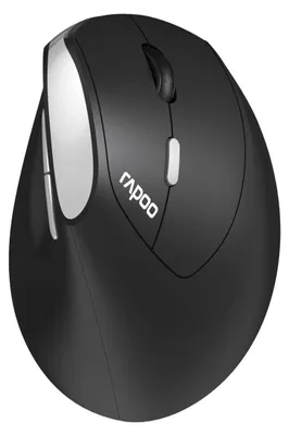 Immagine prodotto di Rapoo EV250 mouse da ufficio destro RF ottico senza fili 1600 DPI