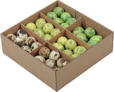 Produktbild von 72 Wachteleier ausgeblasen 3cm bunt natur grün Eier Ostereier Ostern