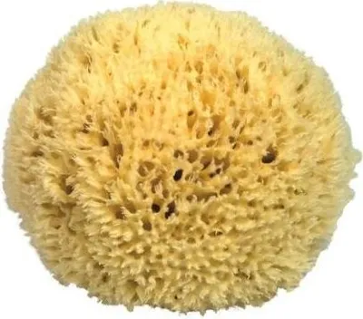 Produktbild von Naturschwamm P110 Premium, ca. 11 cm