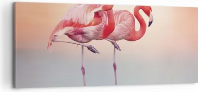 Produktbild von Bild auf Leinwand - Leinwandbild - Einteilig - Flamingos Exotik Vögel - 120x50cm - Wand Bild - Wanddeko - Wandbilder - Leinwanddruck - Bilder - Wanddekoration - Leinwand bilder - AB120x50-5044