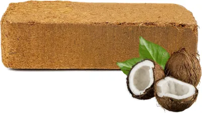 Immagine prodotto di BioCoco Substrato di torba, fibra di cocco, bricchetti di torba di cocco 10 x 600 g sfusi per terrario