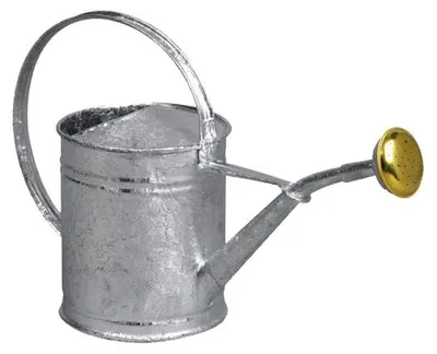 Image de Arrosoir acier galvanisé 1l - Guillouard - 80300 -
