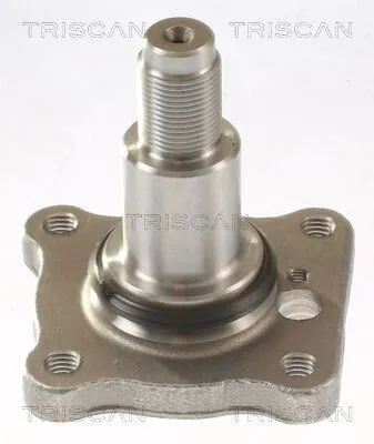 Produktbild von TRISCAN 8535 16007 Radnabe Hinten für FORD Fiesta Mk5 Schrägheck (JH1, JD1, JH3, JD3)