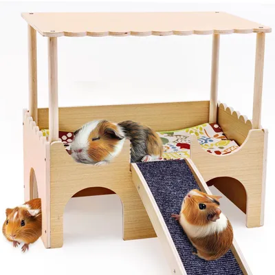 Produktbild von Meerschweinchenhaus - Große Fläche 38 x 25 x 35 cm - Mehrere Eingänge - Rutschfeste Rampe - Für 2-4 Meerschweinchen - Versteck- und Spielraum - Tierunterkunft