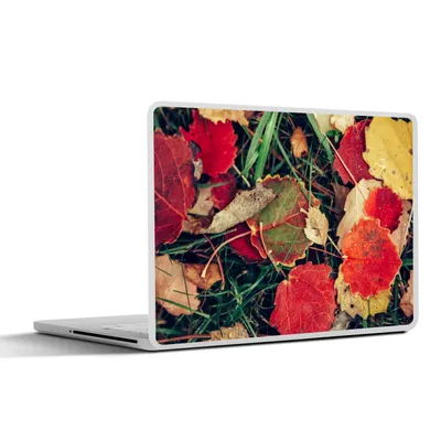 Produktbild von MuchoWow® Laptop Aufkleber Sticker Cover Blätter - November - Herbst - Natur 36.5x27.5 cm - Laptop-Sticker