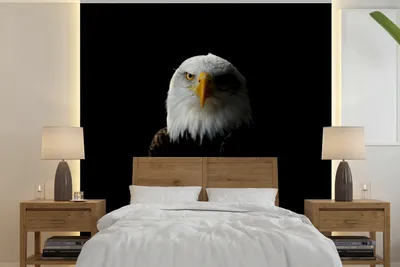Produktbild von MuchoWow® Fototapete für Wohnzimmer oder Schlafzimmer Wandtapete Vinyl Motivtapete Adler - Schwarz - Gelb - 240x240 cm - Schlafzimmer-Tapete