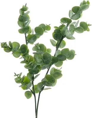 Produktbild von DEKO® FLORALE Eukalyptus Zweig 47 cm - Kunstblumen