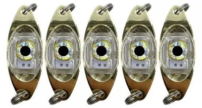 Productafbeelding van Dailygoods - 5 Stuks LED Vissen Lokken Lichten met Fisheye Ontwerp