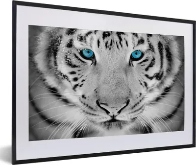 Produktbild von MuchoWow® Gerahmtes Poster Tiere - Tiger - Augen - Blau - Schwarz und weiß 60x40 cm - Poster mit Schwarzem Bilderrahmen Wandposter Rahmen Foto Bilder - Schlafzimmer - Plakat in Rahmen - Drucken