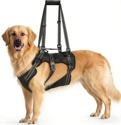 Produktbild von 2-in-1 Hundegeschirr mit Hebehilfe - Profi Hebegeschirr für alte Hunde & Reha nach OP - Verstellbare Tragehilfe bis 45kg, Atmungsaktiv & Reflektierend, Schwarz L