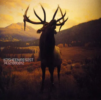 Produktbild von Kosheen: Resist