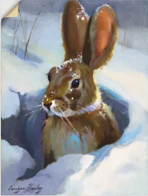 Produktbild von ARTland Wandbild, selbstklebend Schneehase Größe: 80x60 cm