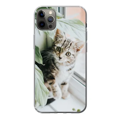Produktbild von MuchoWow® Handyhülle Schutzhülle Hülle für iPhone 13 Pro Max Katze - Kätzchen - Pflanzen Silikon Softcase Handy Hülle - Mobiltelefon