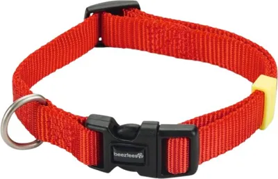 Produktbild von Beeztees Uni - Hundehalsband - rot - 26-40 cm x 15 mm
