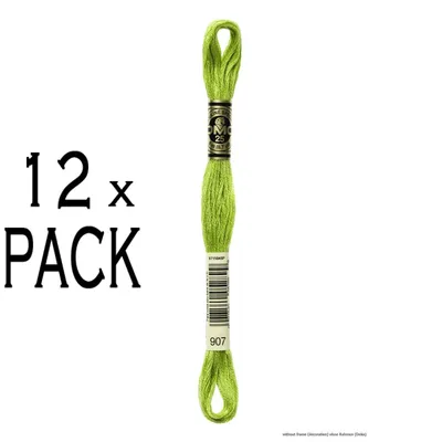 Obrázok produktu pre 12x DMC vyšívacia niť Mouline Special 117MC -907, 6-vrstvová, 8 m, VPE