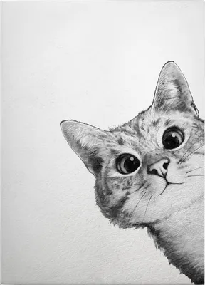 Produktbild von Leinwandbild Tiere 70 x 50 cm - Wandbild Weiß Schwarz - Keilrahmen Katze Wohnzimmerdeko Wanddeko Wandgemälde