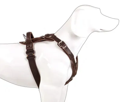 Productafbeelding van Handgemaakt Echt Lederen Hond Harnas met Comfortpadding
