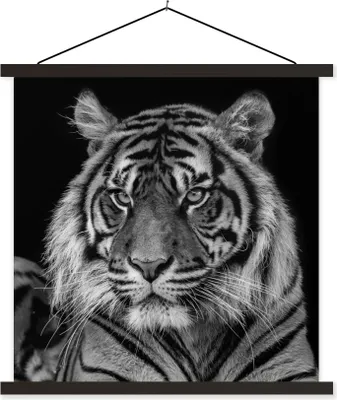 Produktbild von MuchoWow® Textilposter Sumatra-Tiger auf schwarzem Hintergrund 60x60 cm mit schwarzem Rahmen - Posteraufhänger