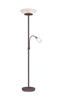 A floor lamp with a reading light.