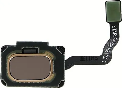 Image de Capteur d'empreintes digitales Samsung Galaxy S9 & S9 Plus - Original - Or