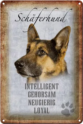 Produktbild von Blechschild Spruch 20x30cm Schäferhund Hund Schild
