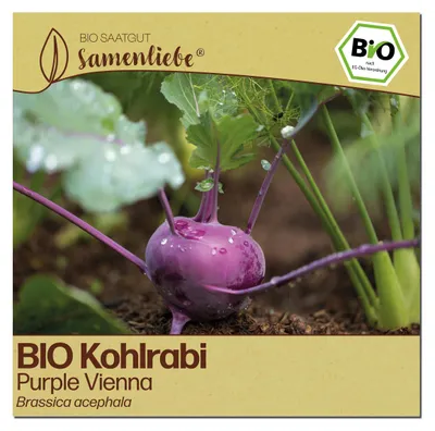 Produktbild von Samenliebe  Kohlrabi Samen | Purple Vienna - violett - samenfestes  Saatgut