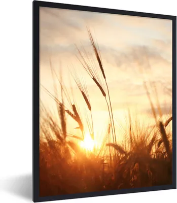 Produktbild von MuchoWow® Gerahmtes Poster Schilf - Gras - Sonnenuntergang - Natur - Horizont 60x80 cm - Poster mit Schwarzem Bilderrahmen Wandposter Rahmen Foto Bilder - Premium - Wanddeko Wohnzimmer