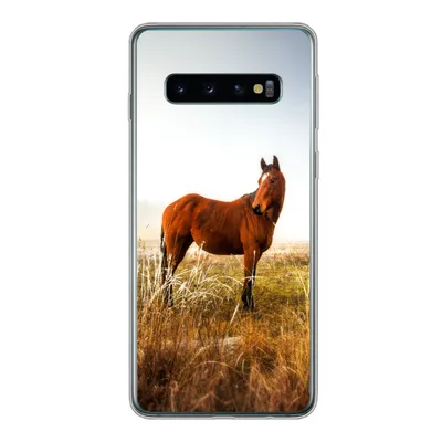 Produktbild von MuchoWow® Handyhülle Schutzhülle Hülle für Samsung Galaxy S10 Pferd - Weide - Australien Silikon Softcase Handy Hülle - Handytasche