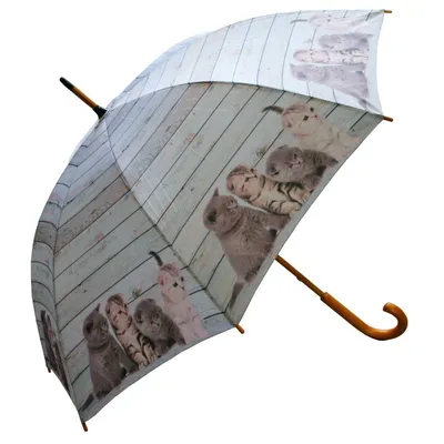 Produktbild von Mars&More regenschirm gerüst holz grau kätzchen BBPSKG
