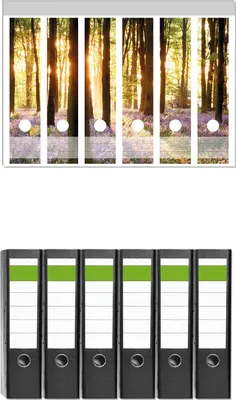 Produktbild von Wallario 6 Stück breite Ordner inkl. Klebeetiketten mit Motive Blaue Hasenglöckchen im Wald mit Sonnenstrahlen -  Set mit Rückenschildern / Ordnerrücken Stickern