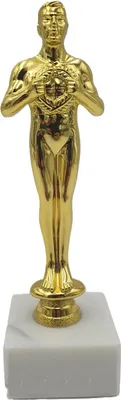 Zdjęcie produktu dla statuetka bez napisu 18 cm