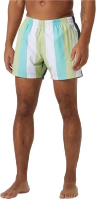Produktbild von Helly Hansen Newport Badeshorts Mehrfarbig L Mann Mehrfarbig L