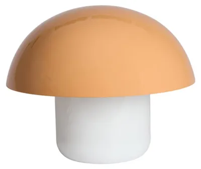 Image de Light & Living - lampe de table - ENIVO - orange - métal - lampe de chevet - E27 - 8058390