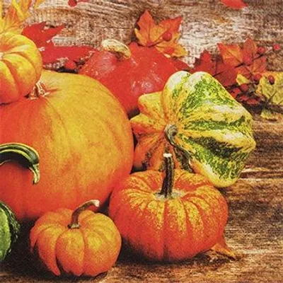 Produktbild von 20 kleine Cocktailservietten Pumpkins - Rustikale Kürbisse 25x25cm