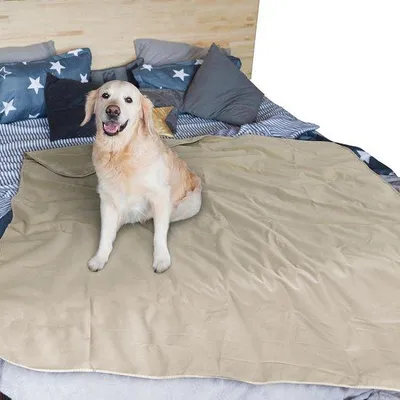 Image de Couverture de protection lavable pour chiens et chats, à utiliser à l'extérieur