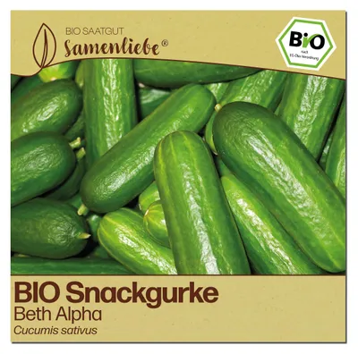 Produktbild von Samenliebe Gurke Samen | Beth Alpha - glatte & mini & glatte Schale - samenfestes Saatgut