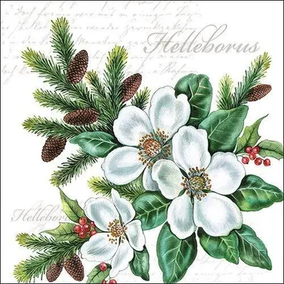 Papierservietten 33x33 cm, 20 Stück, Weihnachtsmotiv Helleborus