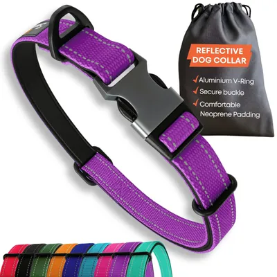 Produktbild von Sweetie Hundehalsband Gepolstert L – Reflektierendes Hundehalsband für Kleine Mi