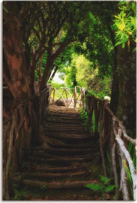 Produktbild von ARTland Leinwandbild Wanderweg Größe: 80x120 cm
