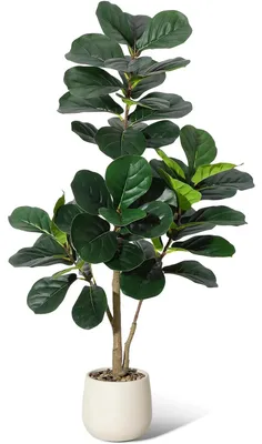 Immagine prodotto di Ficus lyrata artificiale, ideale come pianta da interno, altezza 120 cm, foglie in seta, fusto realistico, vaso bianco, decorazione per la casa