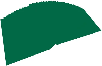 Immagine prodotto di Folia 6458 100 fogli A4 colorati verde abete