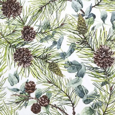 Obrázok produktu pre 20 servítok s motívom eukalyptu a borievok, rozmer 33x33 cm
