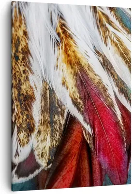 Produktbild von Bild auf Leinwand - Leinwandbild - Einteilig - Federn Federn Vogel - 50x70cm - Wand Bild - Wanddeko - Wandbilder - Leinwanddruck - Wanddekoration - Leinwand bilder - Wandbild - PA50x70-3743